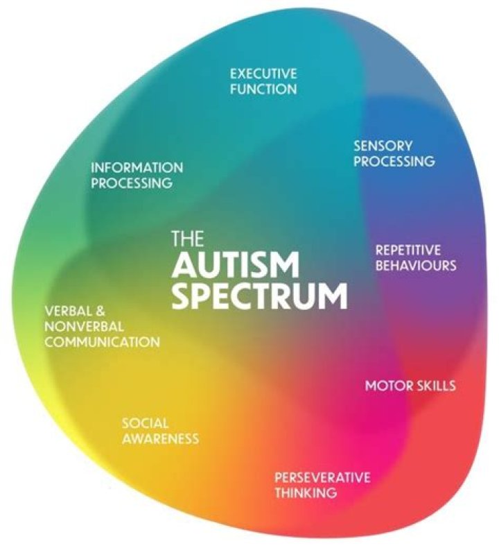Autism Representation, Health, And Support