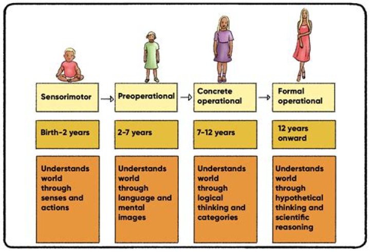 Unraveling The Factors That Shape Height